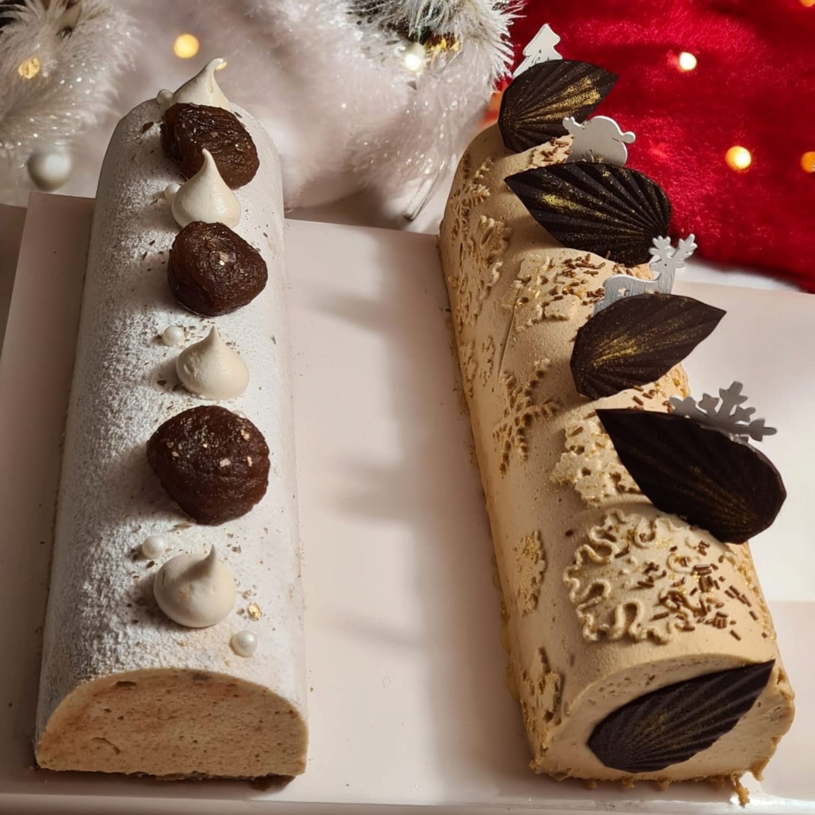 Double Bûche Vanille-Marron
